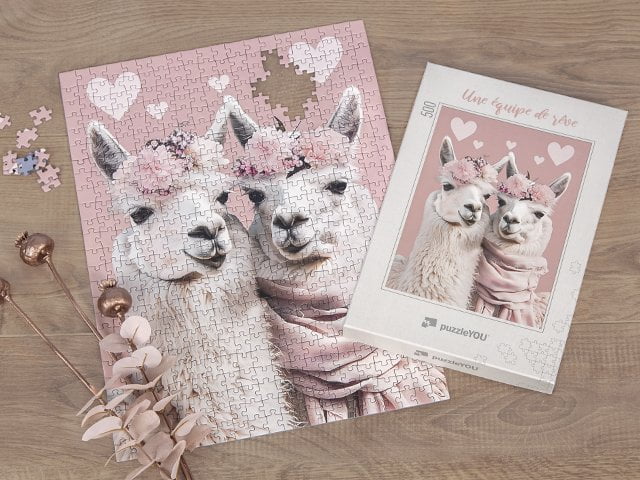 Les plus beaux modèles de puzzles