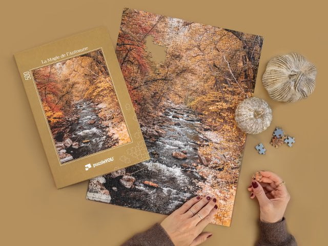 Collections de puzzle